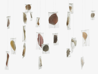 Finissage Manuela Bieri 