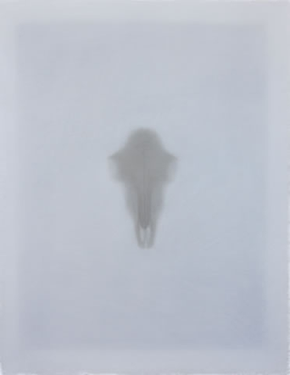 Nature morte, Schwarzer Tiersch&auml;del,&nbsp;s.d.
pastello su carta
90 x 70 cm