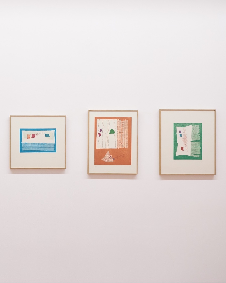 Aoi Huber Kono. Il sensore nascosto