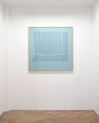 Aoi Huber Kono. Il sensore nascosto