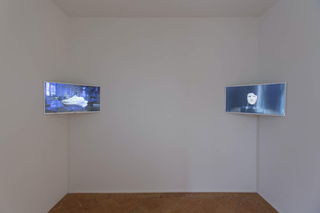 Marion Tampon Lajariette