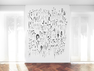 Manuela Bieri. Tassonomie