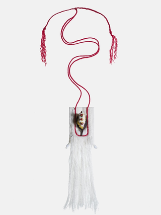 Manuela Bieri. Tassonomie